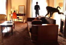 The video "Untitled Dialogue" present a recorded meeting between a man and a monkey in a palace hotel room for the exhibition "signe singe" in Buisson Farm.